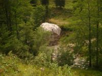 2014-08-02_06FritzPflaum-Steig (441).JPG